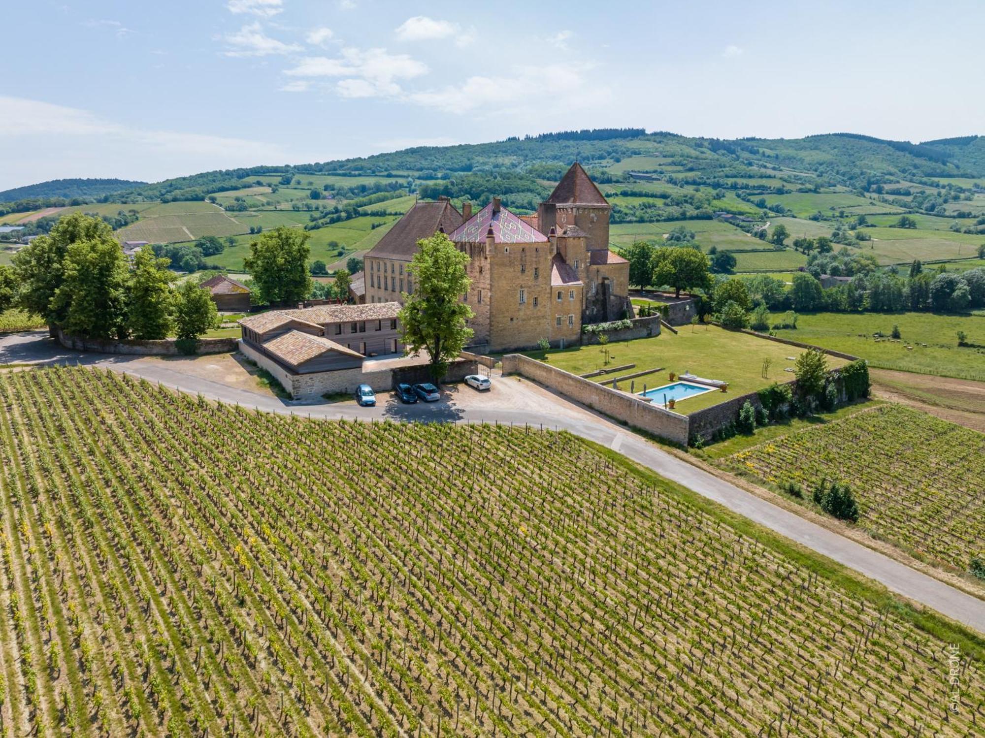Chateau De Pierreclos Exteriér fotografie